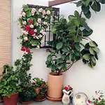 Patio San Lorenzo